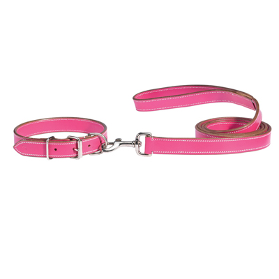 Puppy Collars on Dog Collars And Leashes   Make The Right Choice